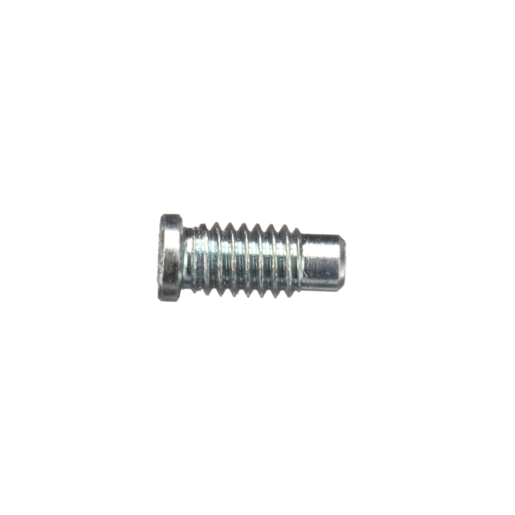 Safety Screw