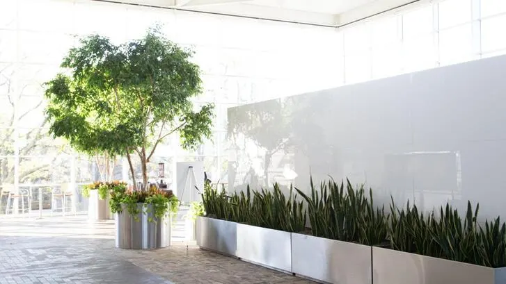 Baxter building with trees
