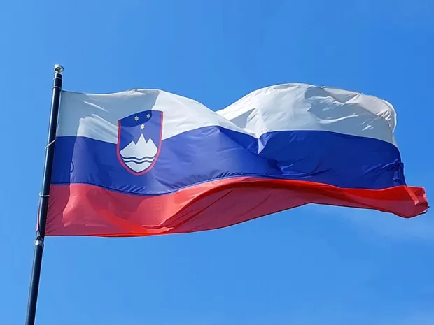 The Slovenian flag