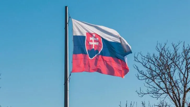 The slovakian flag