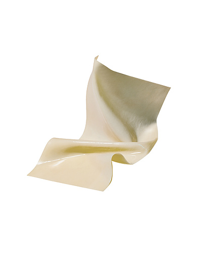 SUPPLE PERI-GUARD Repair Patch
