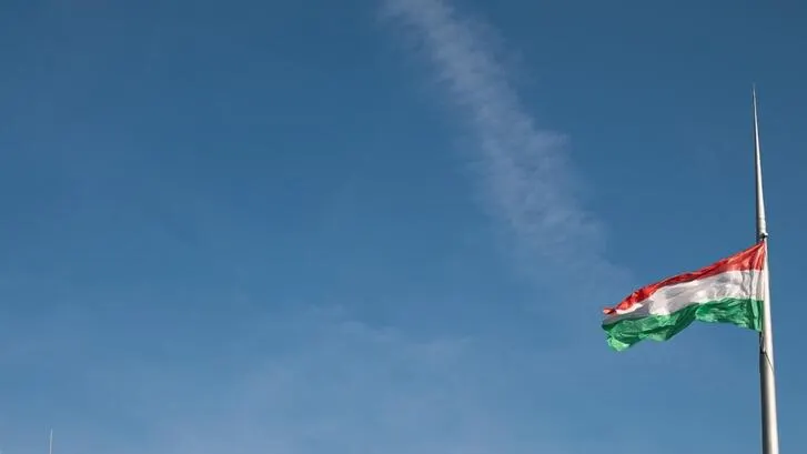 The hungarian flag