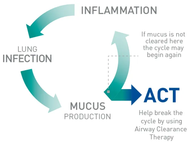 Diagram demonstrating how airway clearance therapy can break the infection cycle