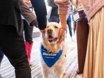 Pet Partners therapy dog being pet by Baxter employees