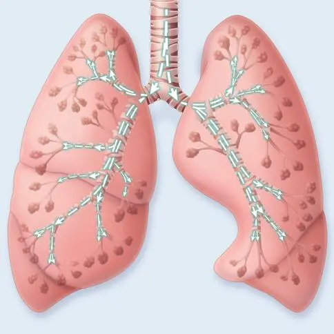 Lung mobilization in CHFO