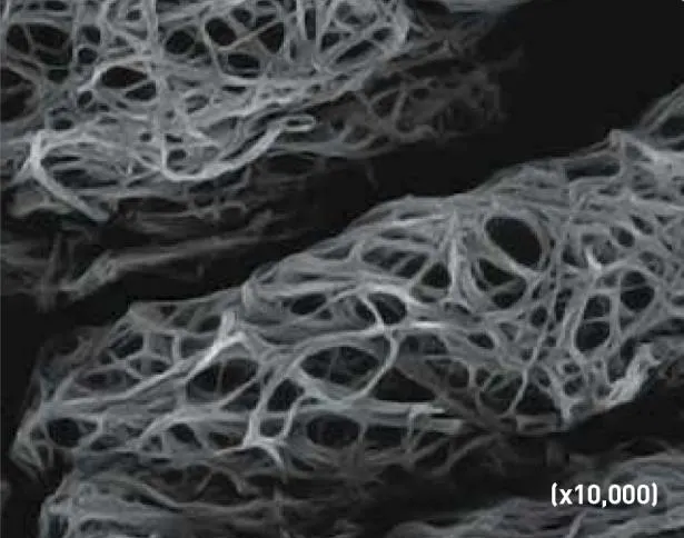 Physiologic Clot x10,000