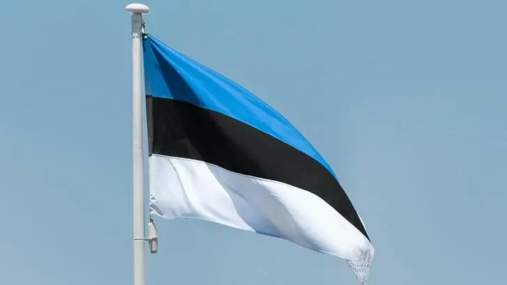 The estonian flag
